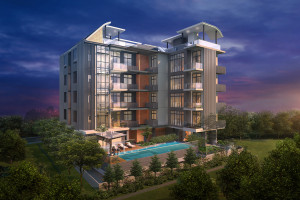 38jervois